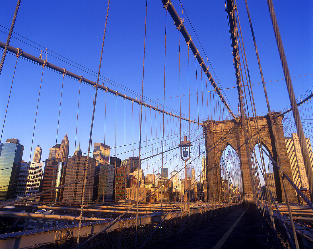 Brooklyn bridge, Downtown skyline, Manhattan, New York, USA