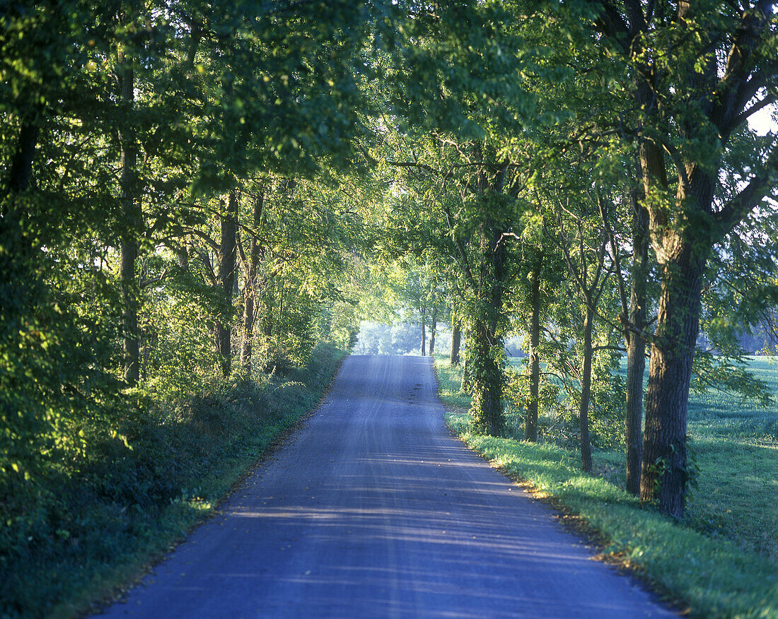 Rural road, Lamar, Pennsylvania, USA