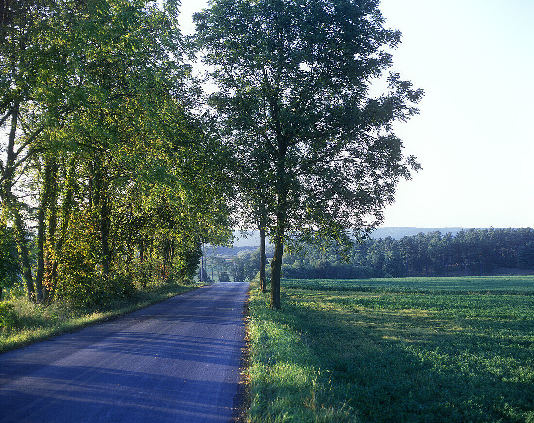 Rural road, Lamar, Pennsylvania, USA