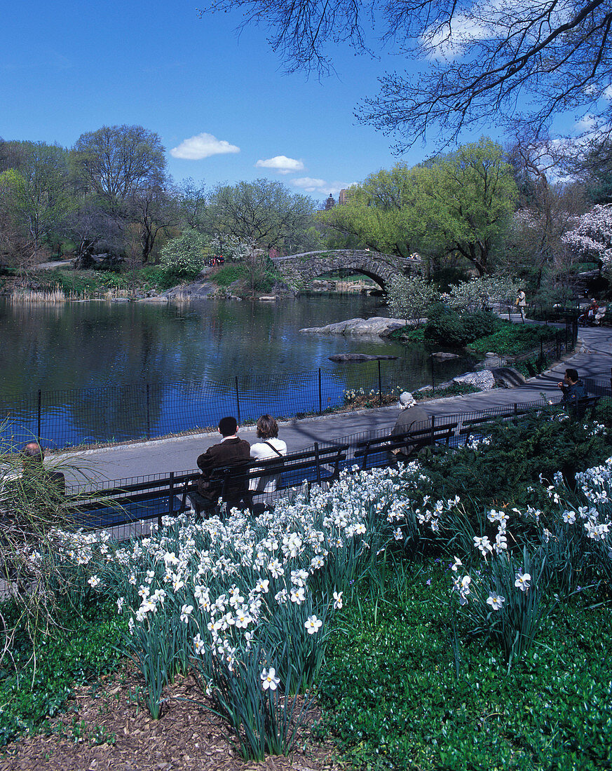 Capstow bridge, Pond, Central Park, Manhattan, New York, USA