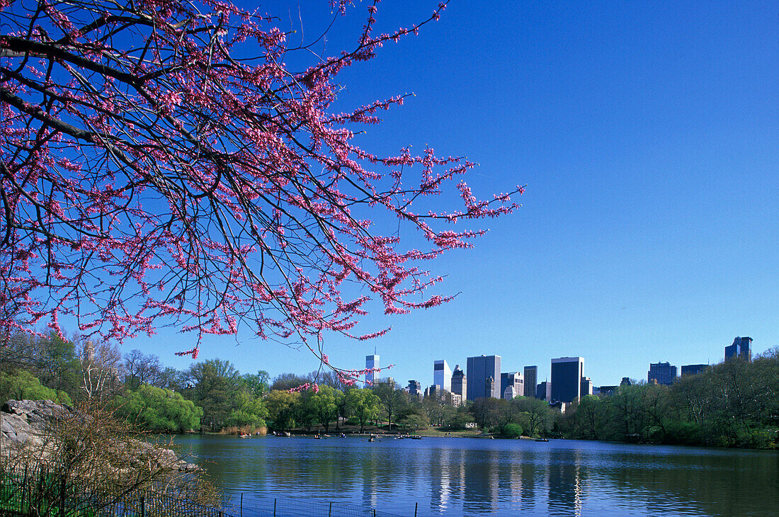 The Lake & midtown skyline, Manhattan, New York, USA