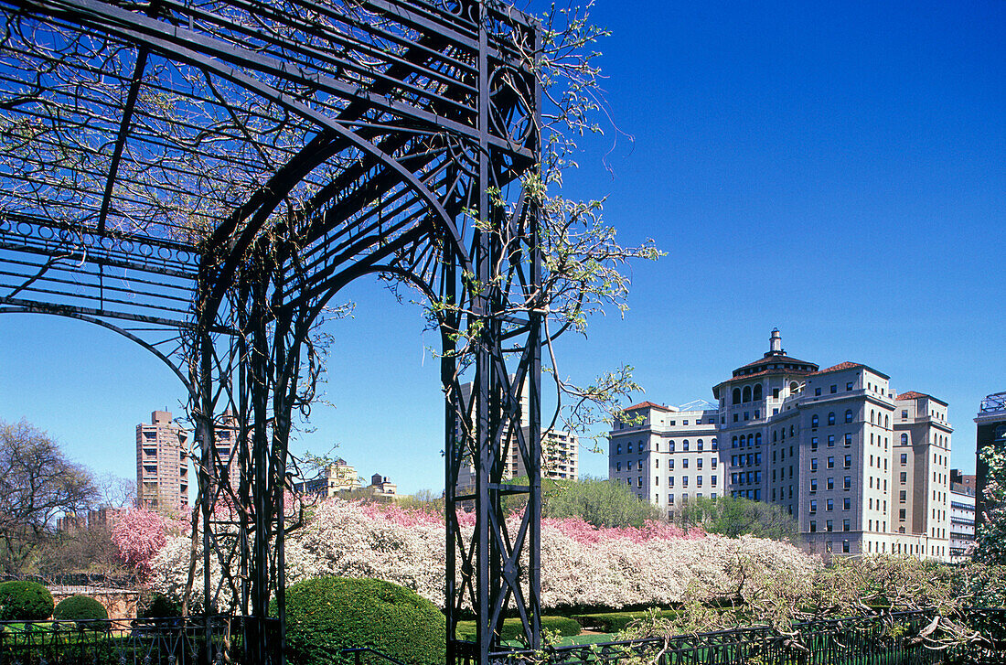 Arbor, Conservatory garden, Central Park, Manhattan, New York, USA