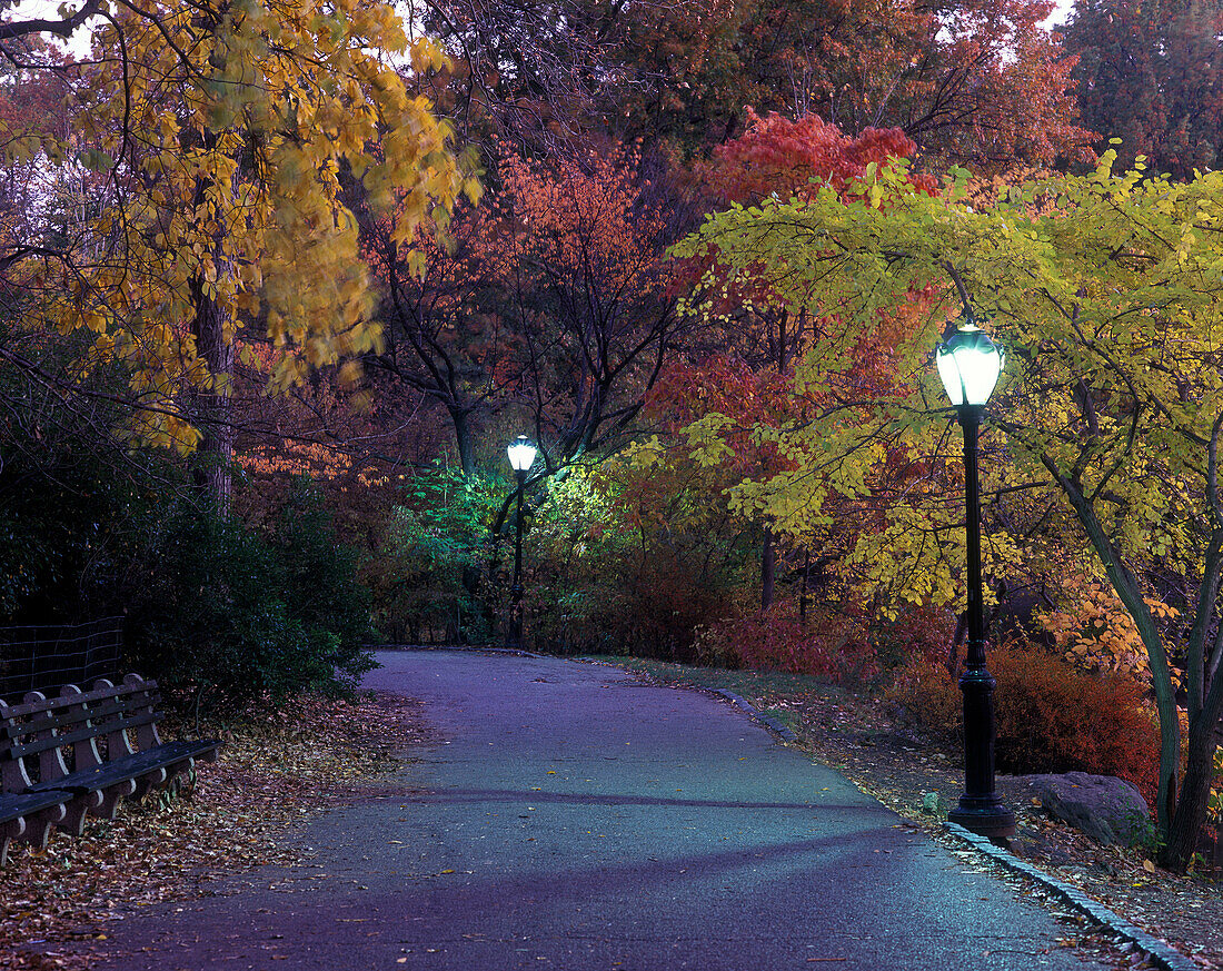 Path, Central Park, Manhattan, New York, USA