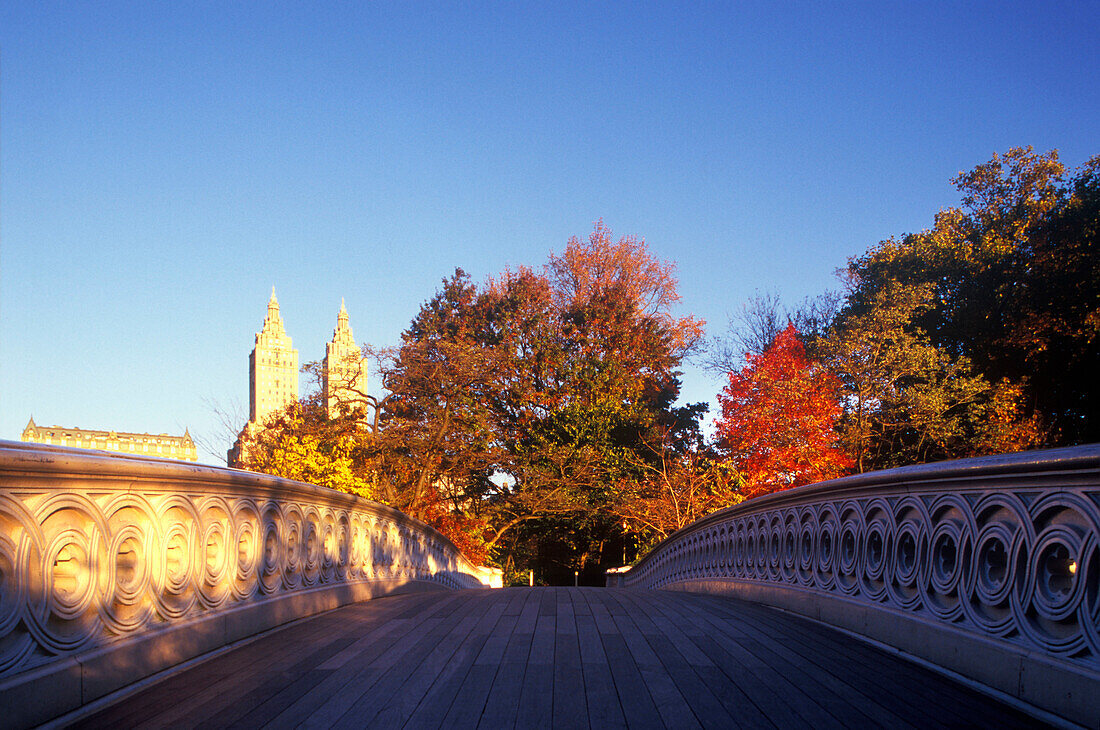 Bow bridge, Central Park, Manhattan, New York, USA