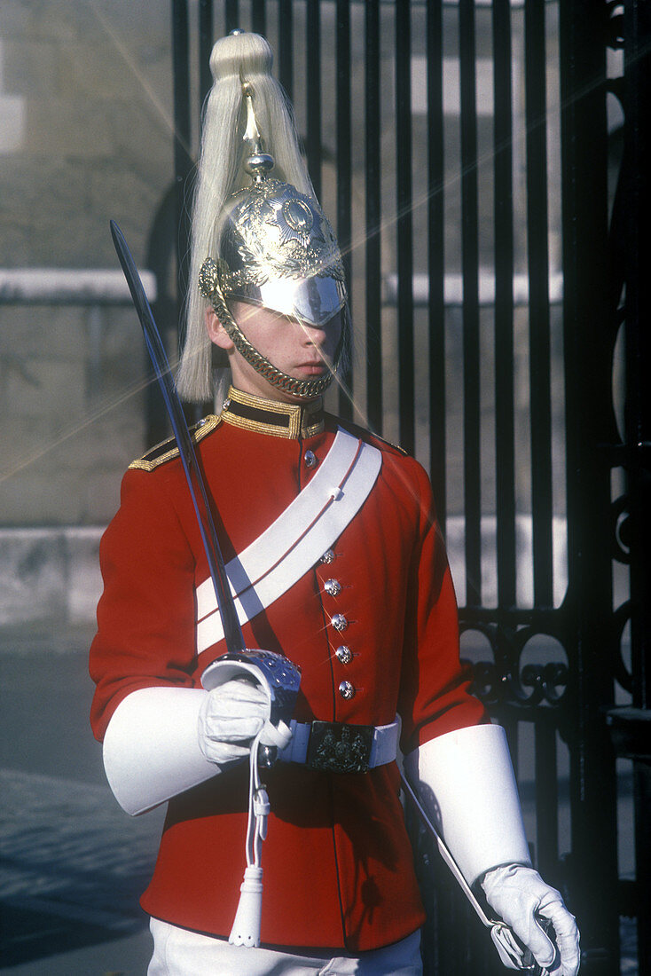 Sword, Guardsman, Horse guard s parade, London, England, UK
