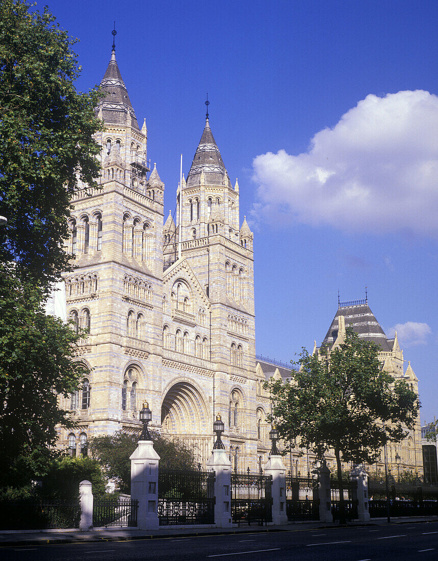 Natural history museum, London, England, UK