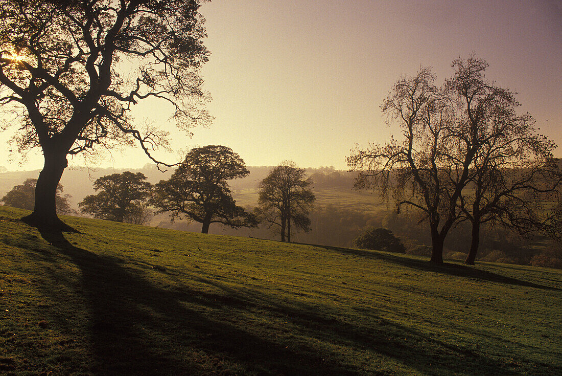 Scenic landscape, East sussex, England, UK