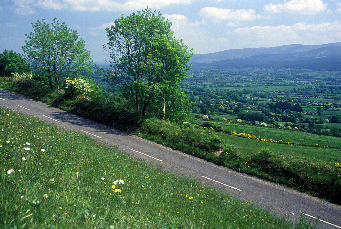 Road: glen of aherlow, County tipperary, Ireland.
