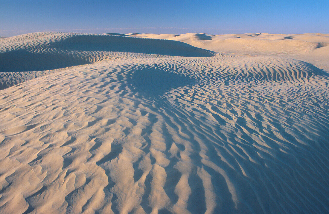 Chott el-Djerid. Sahara desert. Tunisia