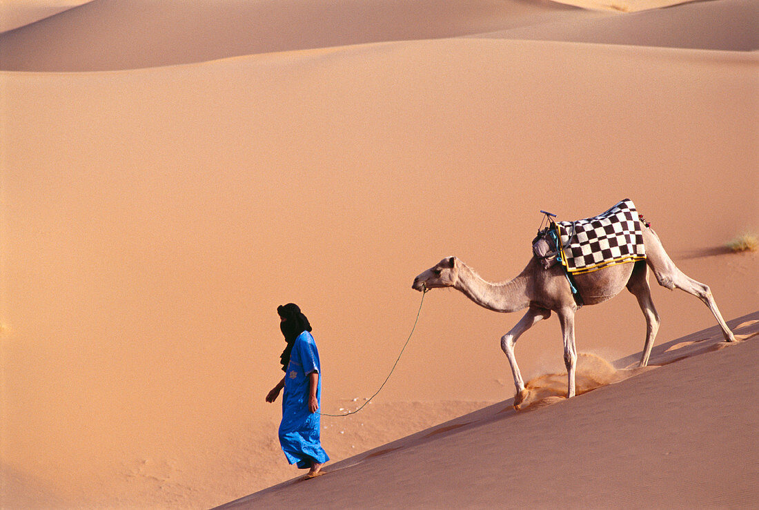 Tuareg with camel. Merzouga Dunes. Morocco