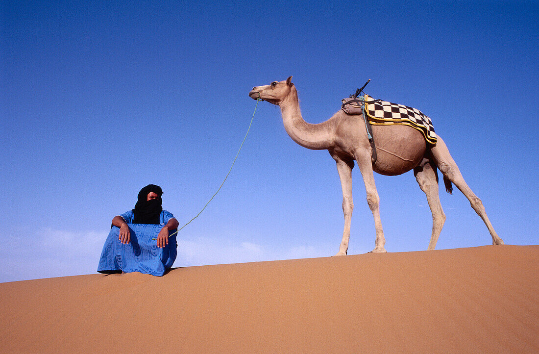 Tuareg with camel. Merzouga Dunes. Morocco