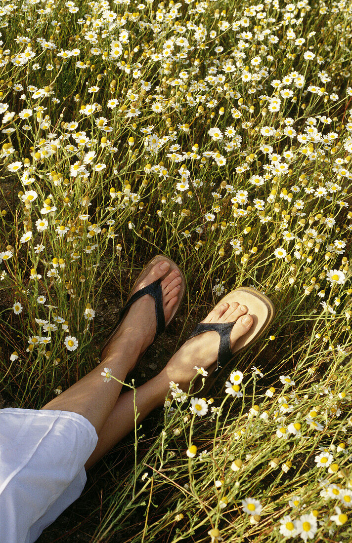  Anonymous, Color, Colour, Contemporary, Country, Countryside, Daisies, Daisy, Daytime, Detail, Details, Exterior, Female, Flower, Flowers, Human, Lying down, Outdoor, Outdoors, Outside, People, Person, Persons, Rural, Sandal, Sandals, Shoe, Shoes, Vertic