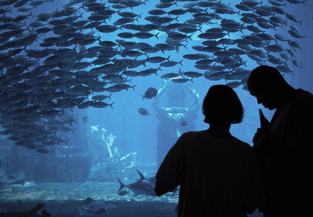 Tropical Fish Aquarium in Atlantis Resort and Casino. Nassau, New Providence Island. Bahamas, Caribbean