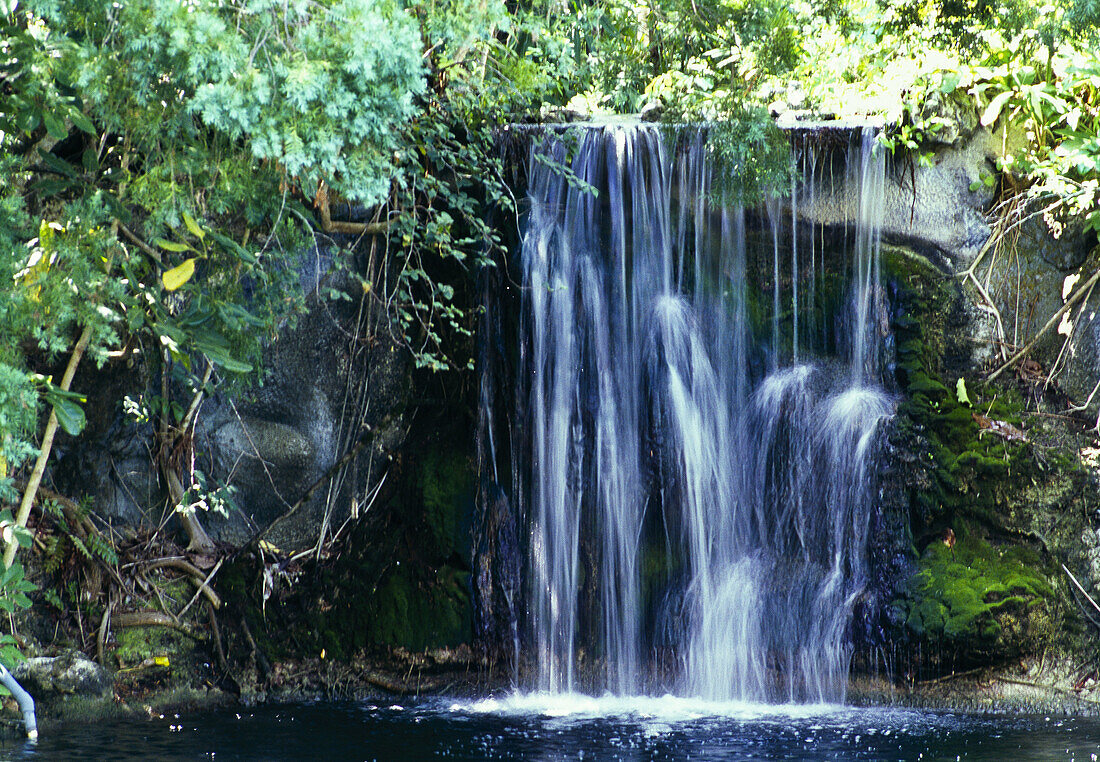 Waterfall, Garden of the Groves. Grand Bahama Island, Bahamas