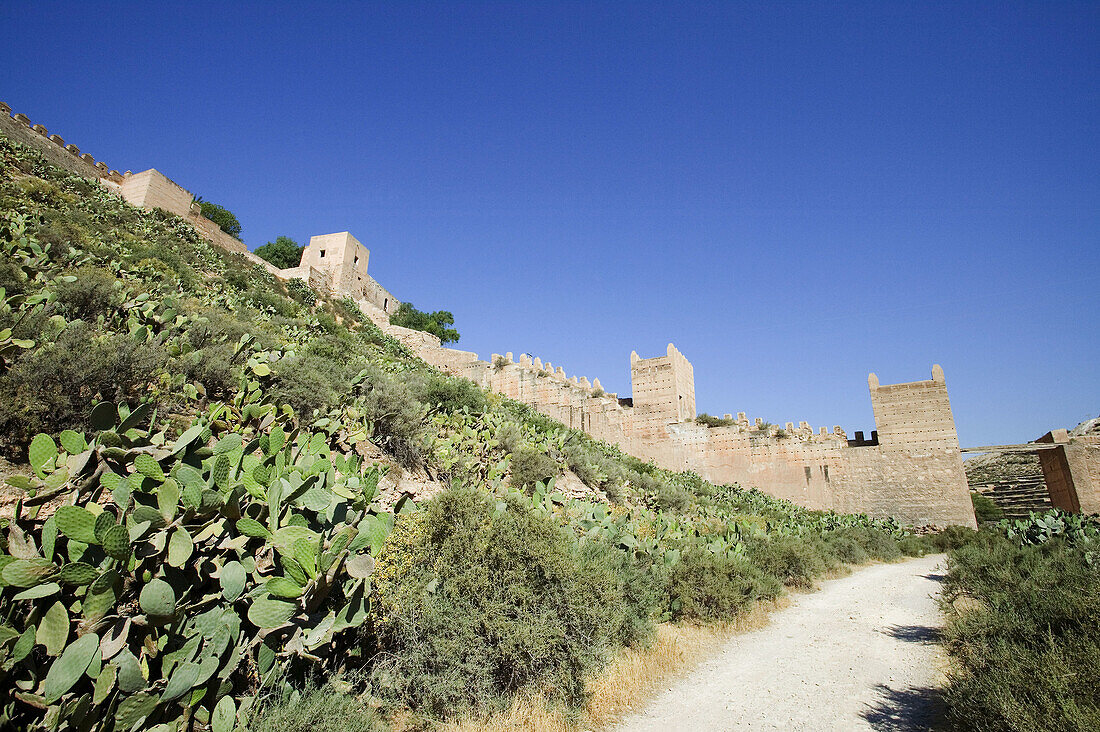 Alcazaba, fortress built in 773 by the Amir of Cordoba, Almeria. Andalusia, Spain