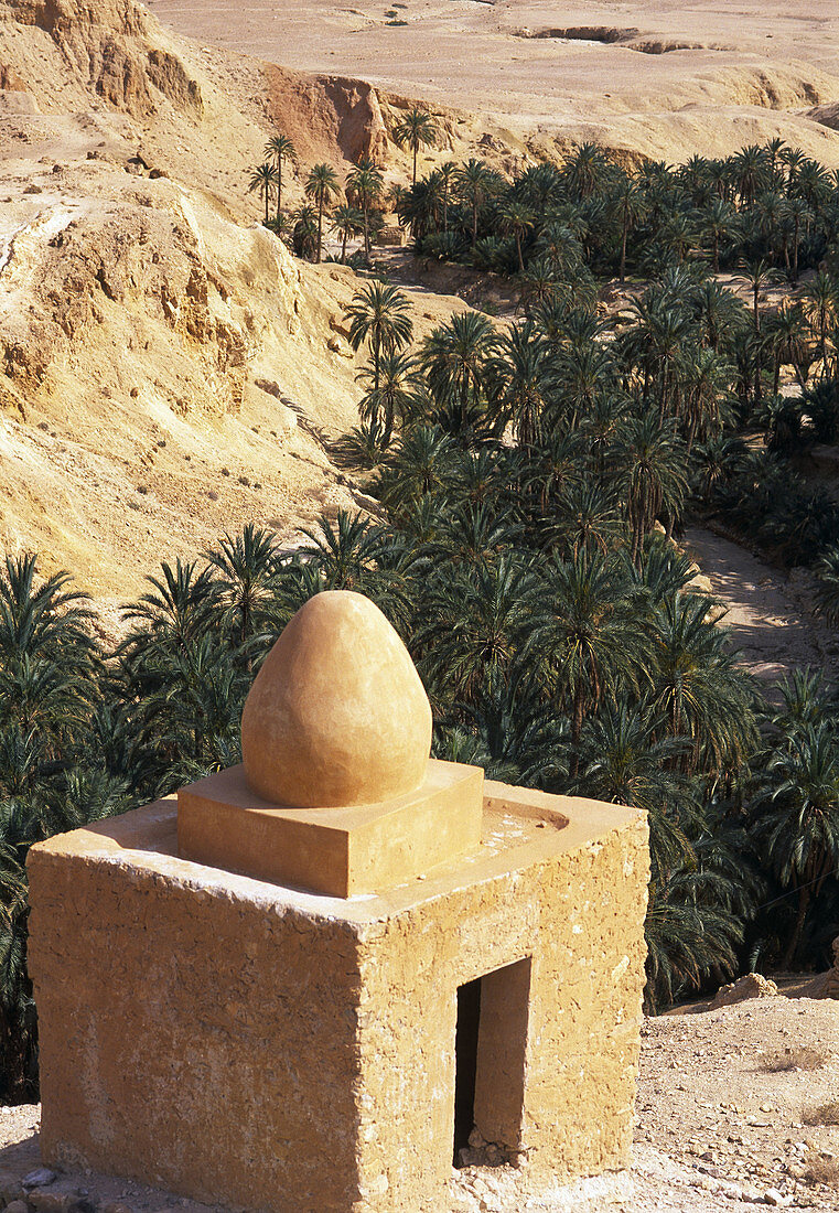 Oasis of Chebika. Chott el-Djerid region, Sahara desert, Tunisia