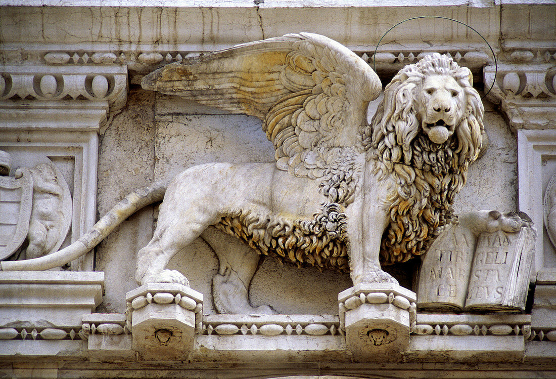 Lion at the Palazzo Ducale. Piazzetta San Marco. Venice. Veneto. Italy