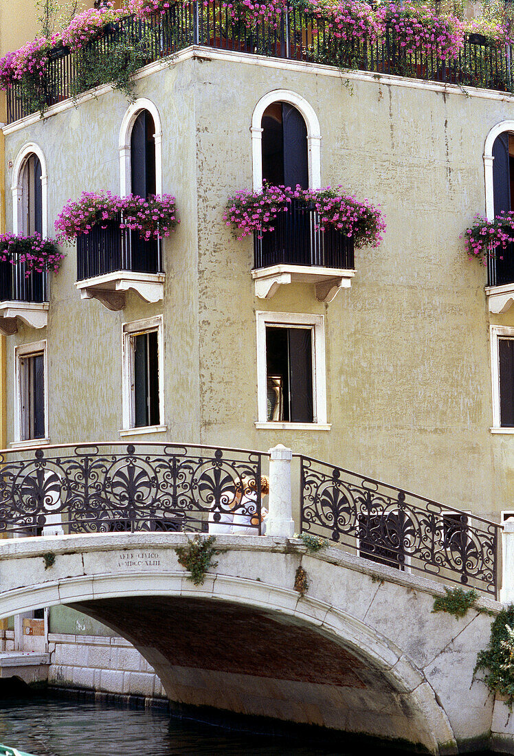 Façade of palazzo along the Grand Canal. Venice. Veneto, Italy