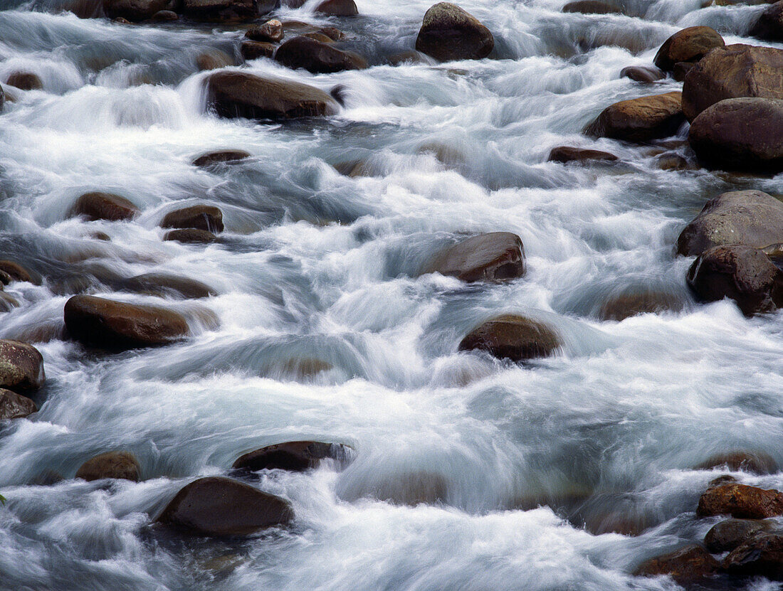 River La Paz, Alajuela. Costa Rica