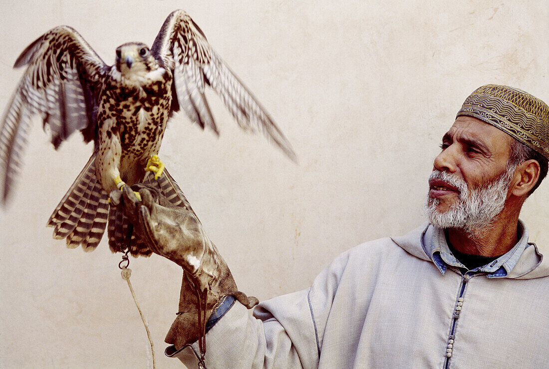 Falcon seller in the souks of the medina, Marrakech. Morocco