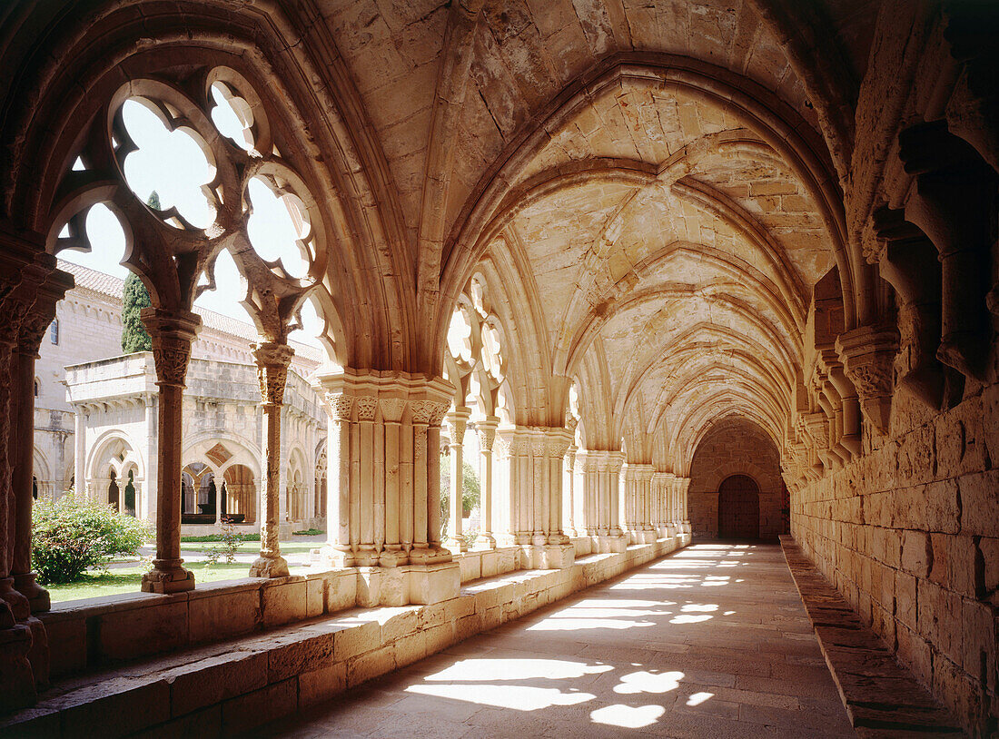 Cloister. Poblet monastery. Tarragona province. Spain