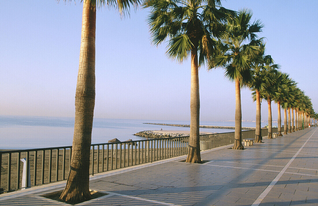 Marbella promenade. Costa del Sol. Málaga province. Andalusia. Spain