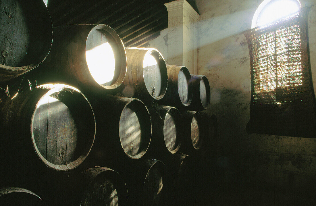 Stacked oak barrels in one of the cellars at the Bodega González Byass. Jerez de la Frontera. Cádiz province. Andalusia. Spain