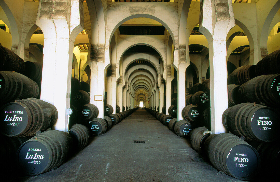 Stacked oal barrells in a huge cellar at the bodega Pedro Domecq. Jerez de la Frontera. Cadiz province. Andalusia. Spain.
