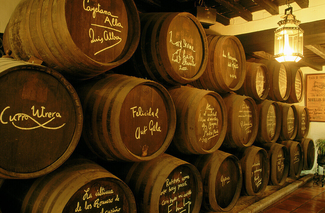 Cellar at Bodegas Campos, stacked with oak barrels signed by Bodega s honorable guests. Córdoba province. Andalusia. Spain