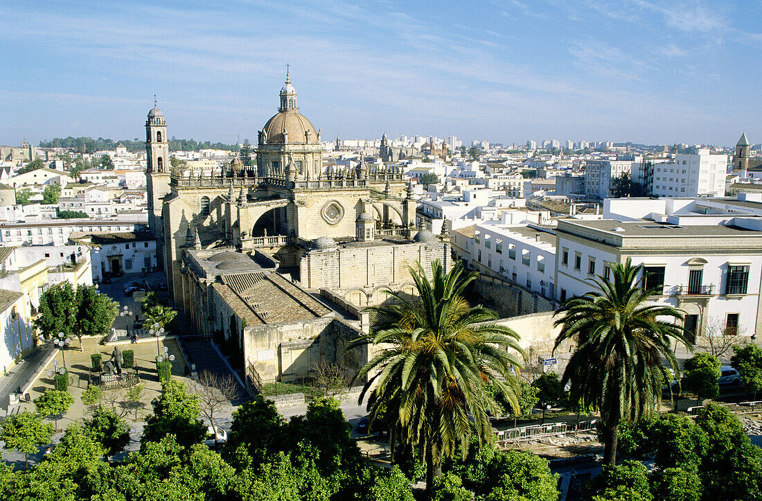 Partial view of Jerez de la Frontera with its 17th century cathedral of San Salvador. Cádiz province, Andalusia, Spain