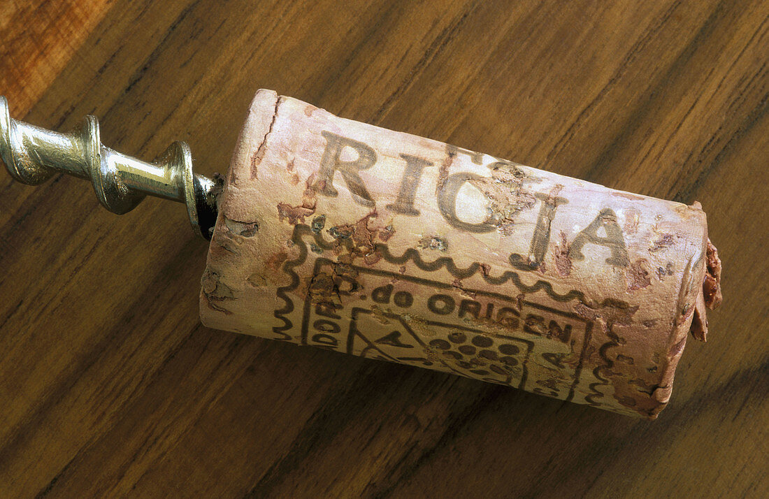 The end in the life of a bottle cork: speared by a corkscrew it will end in the waste as soon as the winebottle is drank up. Province of Málaga, Andalucía, Spain.