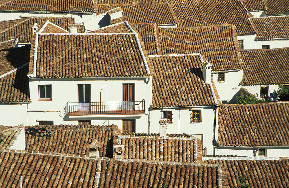 Above the roofs of the White Village of Grazalema in the Sierra de Grazalema, which is the spot with Spain s highest rainfall. Province of Cádiz, Andalucía, Spain.