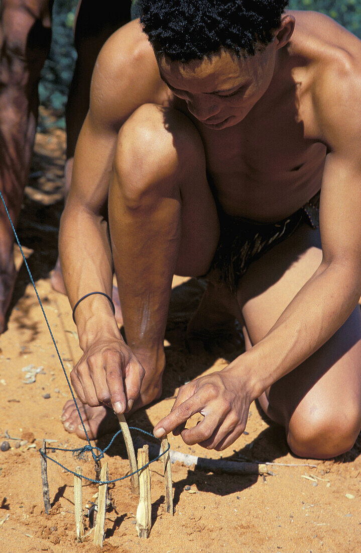 Kung Bushman prepares a snare for catching an ostrich. Intu Afrika Kalahari Game Reserve, Namibia.