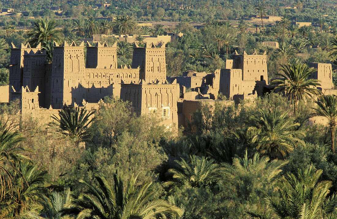 The grand kasbah (= fortress) of Amerhidil in the Skoura oasis features the current 50 Dirham note. Dadès valley, southern Morocco.