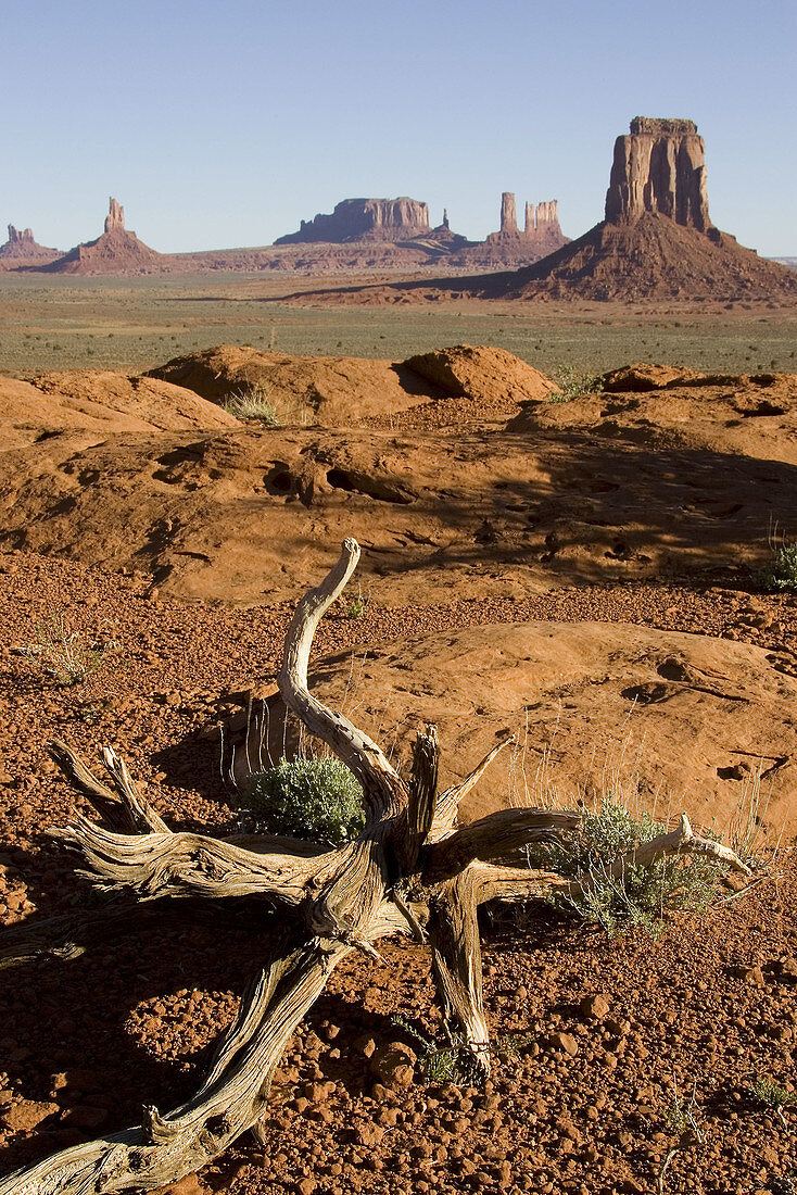 The classic Wild-West landscape of sandstone buttes and pinnacles of rock in the Monument Valley, seen from the North Window. Monument Valley Navajo Tribal Park, Navajo Nation, Arizona/Utah, USA.