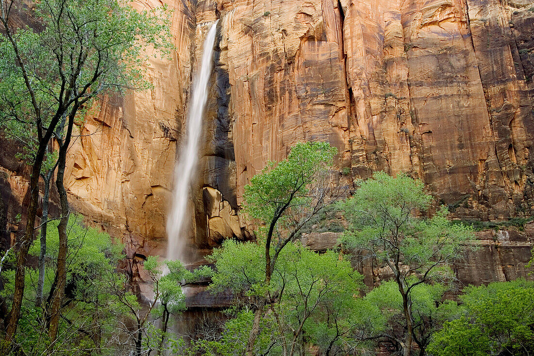 The Temple of Sinawava. Zion National Park, Utah, USA.