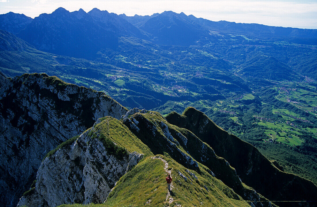 grass-covered ridge of Monte Dolada with hiker, Belluneser range, Belluno, Venezia, Italy
