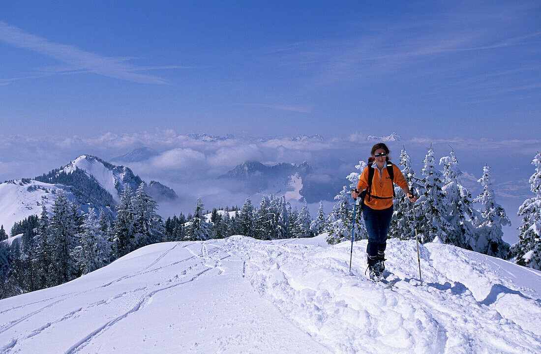 Woman backcountry skiing, Hochries, Chiemgau Alps, Upper Bavaria, Bavaria, Germany