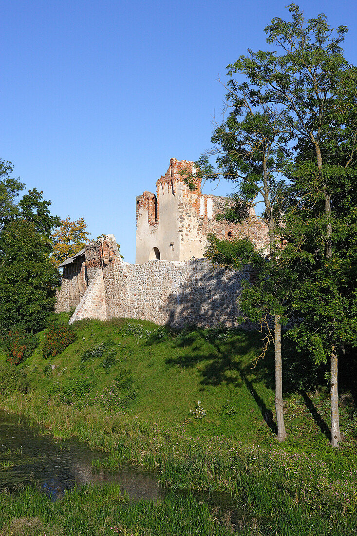 Dobele, Ruine der Komtursburg (1335)