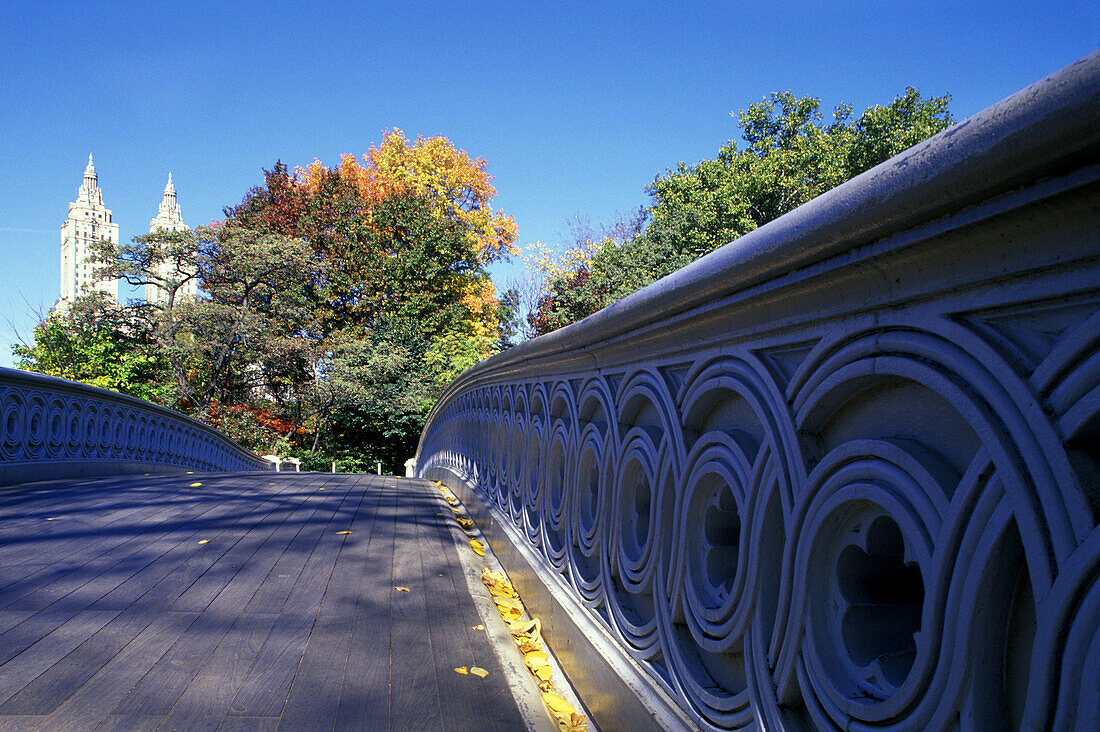 Fall folliage, Bow bridge, Central Park, Manhattan, New York, USA