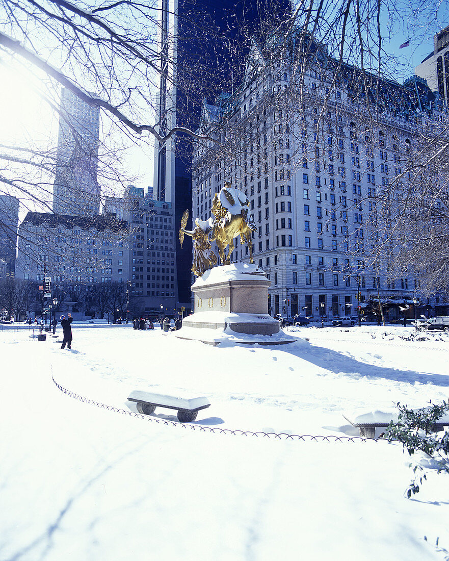 Snow, Grand army plaza, Plaza hotel, Fifth Avenue, Manhattan, New York, USA