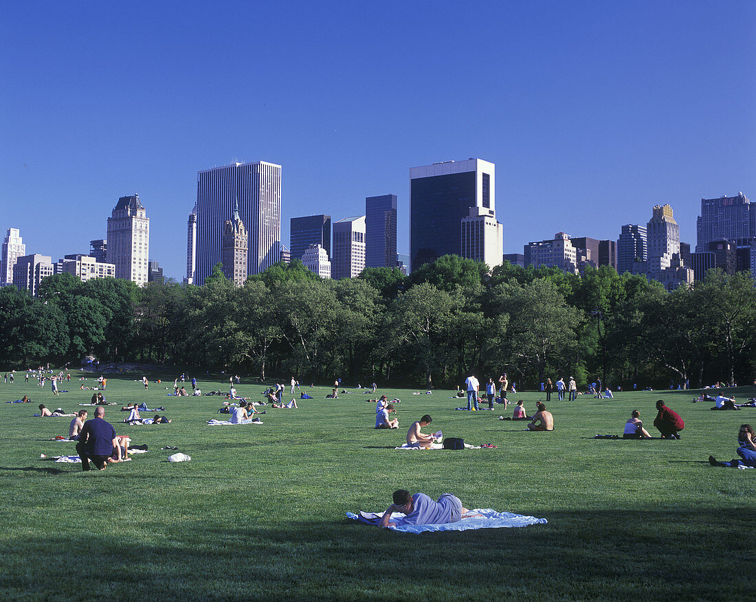Sheep meadow lawn, Central Park, Manhattan, New York, USA