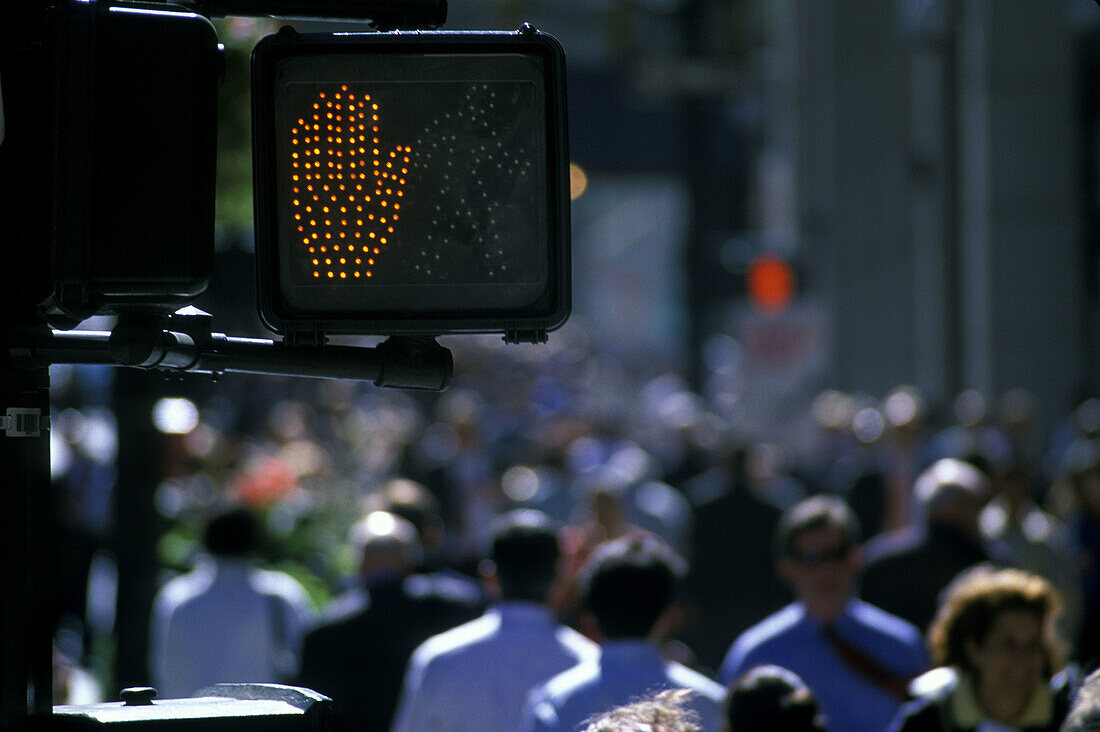 Dont walk sign, Crowds, Fifth Avenue, Midtown, Manhattan, New York, USA