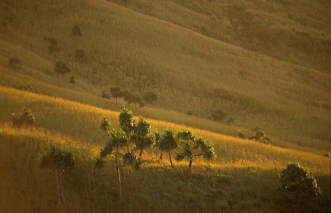 Yasawa Island at sunrise, Yasawa Group, Fiji, South Sea