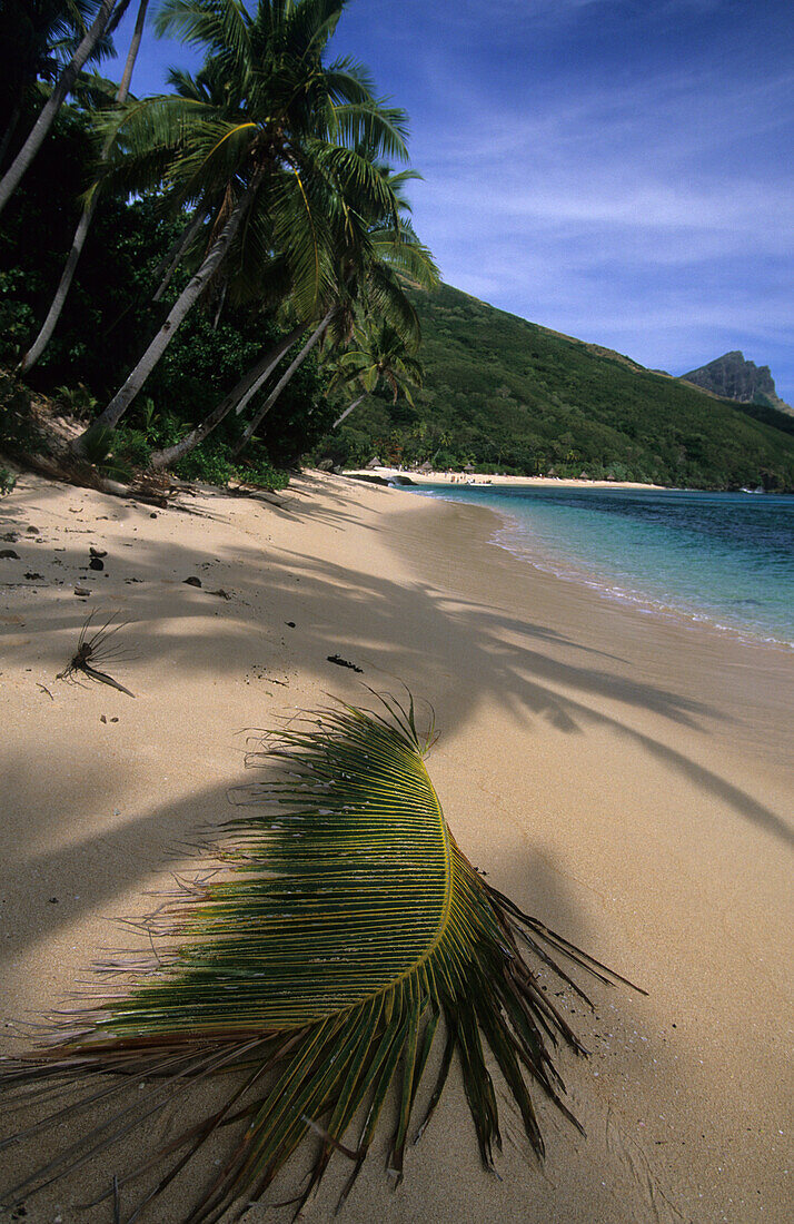 Sandy beach with palm trees, Octopus Bay on Waya Island, Yasawa group, Fiji, South Sea
