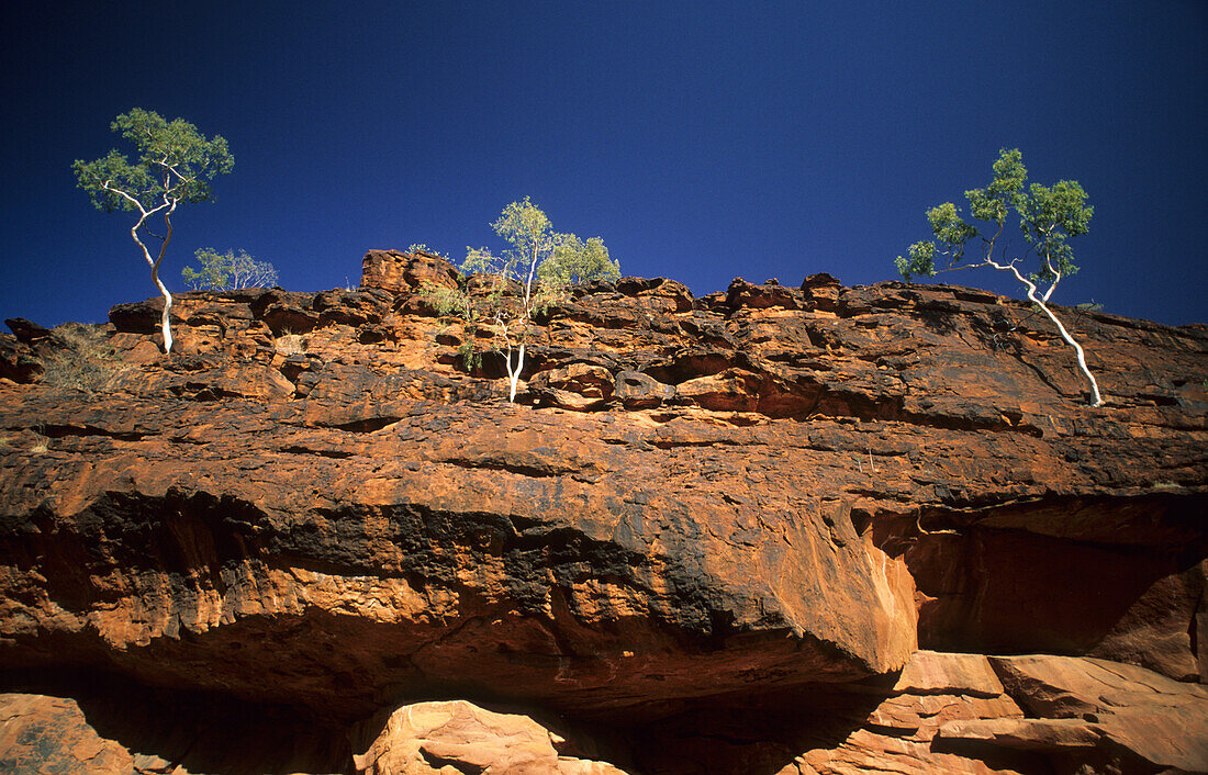 Sandstein Felsformation mit Geister Eukalypten im Finke Gorge Nationalpark, Central Australia, Northern Territory, Australien