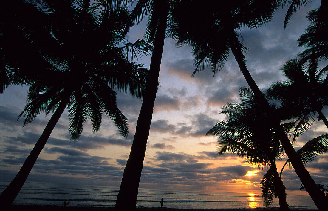 Sonnenaufgang am Four Mile Beach, Port Douglas, Queensland, Australien