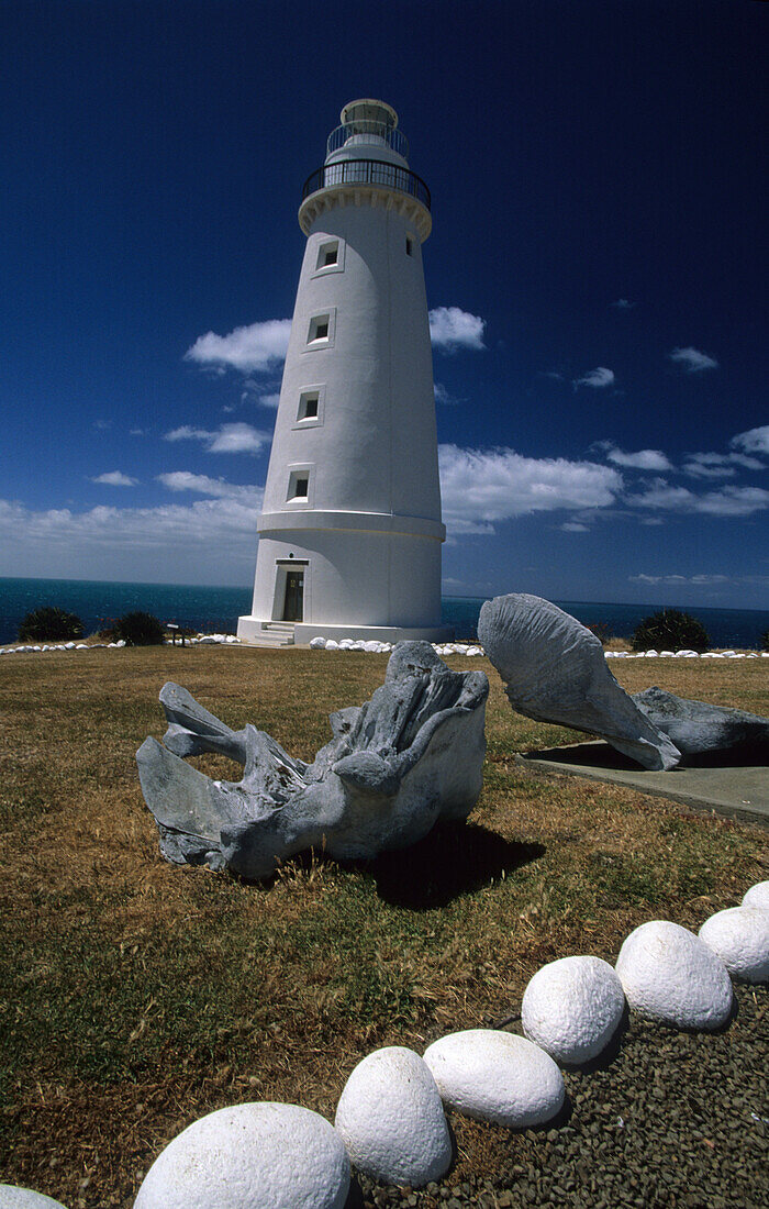Der Leuchtturm am Cape Willoughby, im Vordergrund Walknochen, Kangaroo Island, Südaustralien, Australien