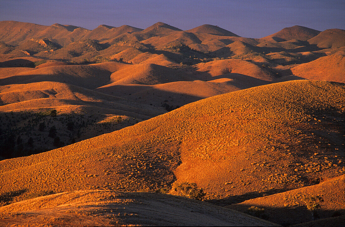 The barren hills of the Bunkers, Flinders Ranges, South Australia, Australia