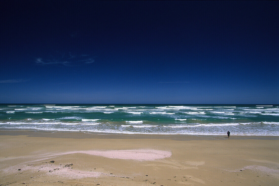 Küste der Younghusband Peninsula, Coorong National Park, Südaustralien, Australien